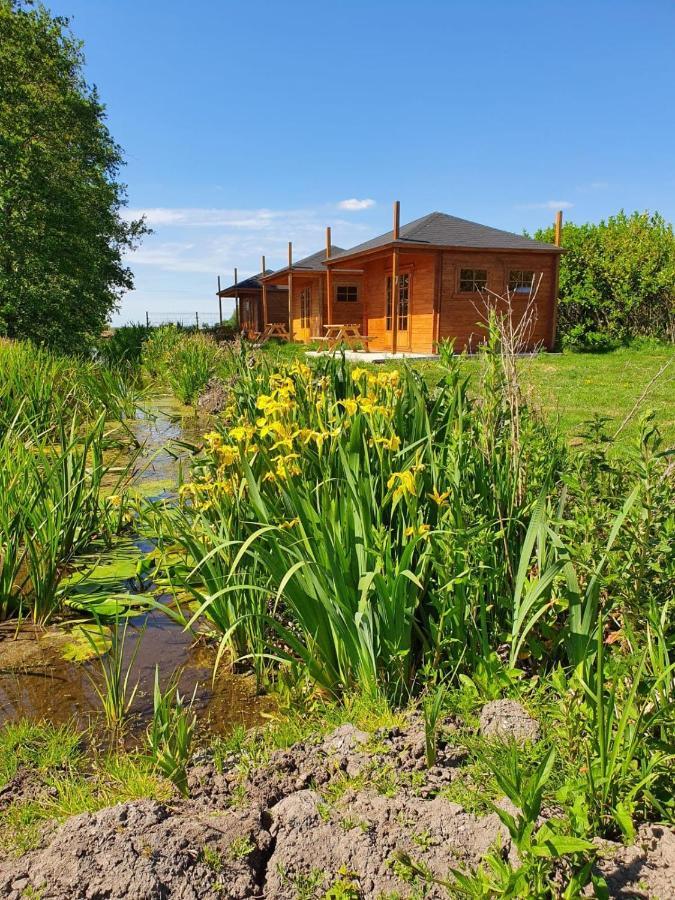 Camping De Oude Rijn Ter Aar 外观 照片