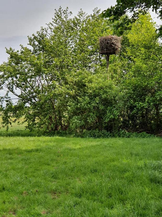 Camping De Oude Rijn Ter Aar 外观 照片