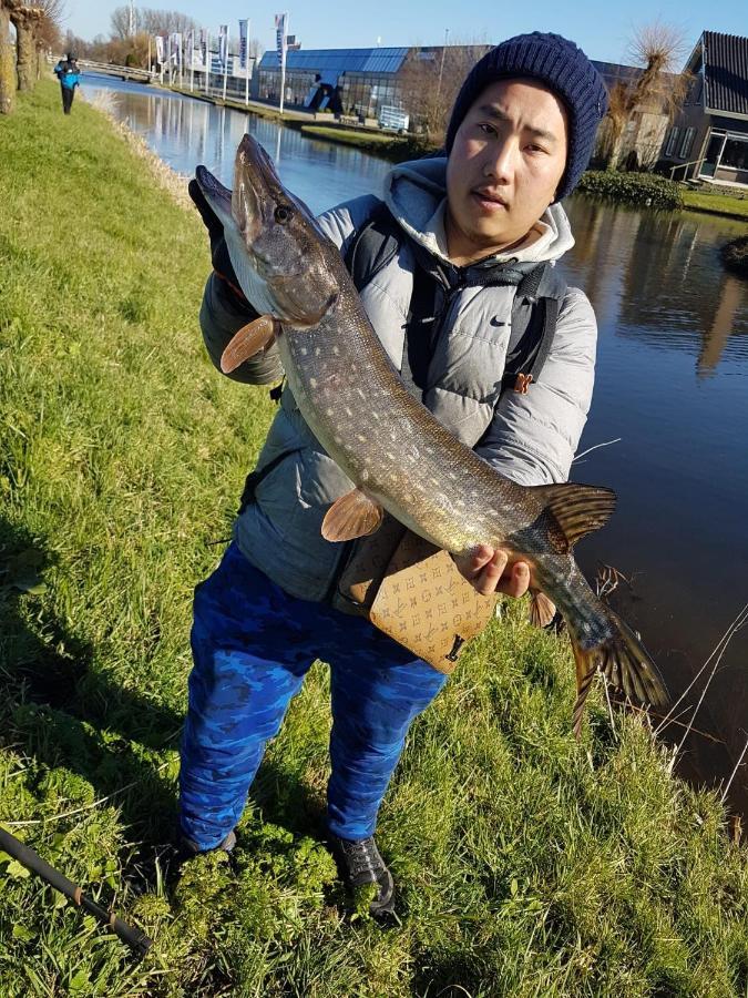 Camping De Oude Rijn Ter Aar 外观 照片