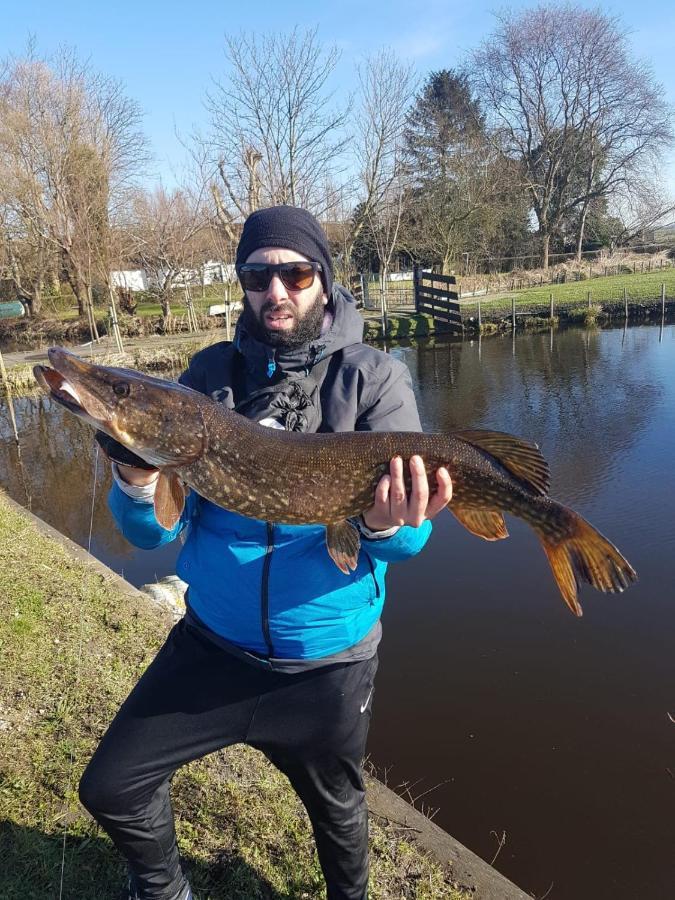 Camping De Oude Rijn Ter Aar 外观 照片